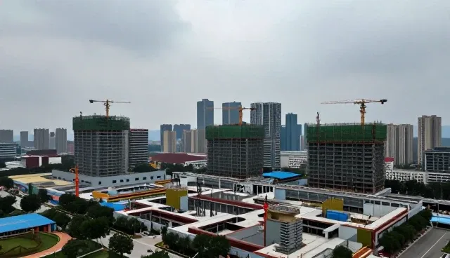 免费申请网页的适用条件与选择依据